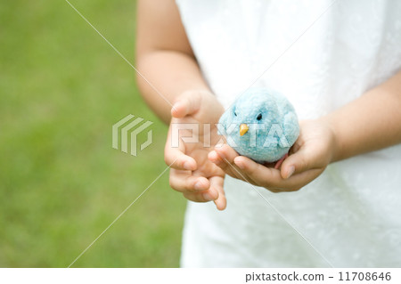 藍鳥的幸福 藍鳥的幸福 11708646