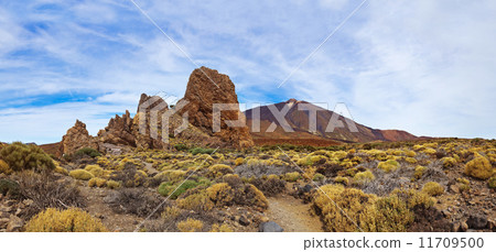 Volcano Teide in Tenerife island - Canary 11709500