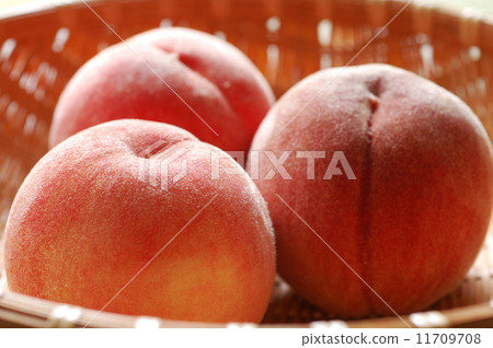 peach  peach  11709708
