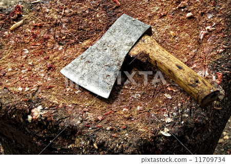 Axe on chopping board 11709734