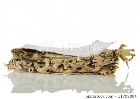 Termite-damaged Book Termite-damaged Book 11709804