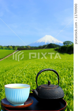 新的綠茶田和新茶,以及富士山 新的綠茶田和新茶,以及富士山 11709900