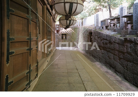 Fishing lantern and trail, Nara, Japan 11709929
