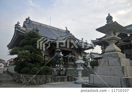 【四國88處】德島縣德島市井道寺正殿17日夏日晨景 11710107