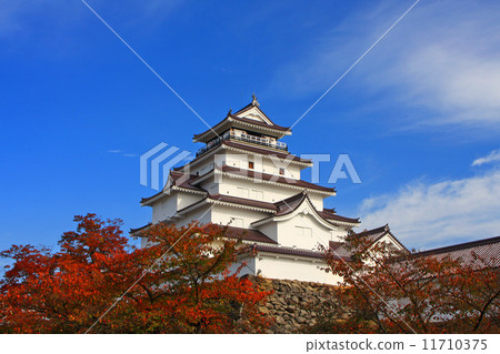 Tsuruga castle in autumn 11710375