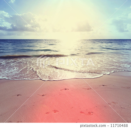 Beach Beach 11710488