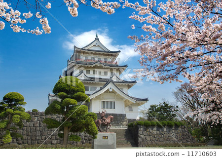 千葉縣千葉市千葉城和盛開的櫻花 11710603
