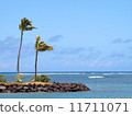 An island floating in the tropical ocean 11711071