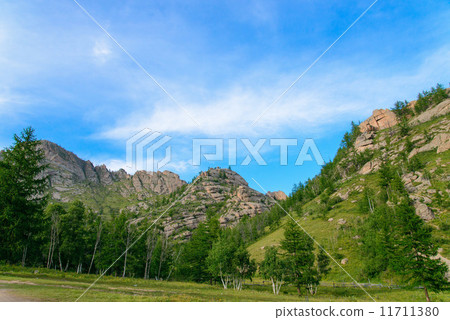 特日勒吉 11711380