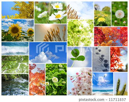 春夏秋冬 11711837