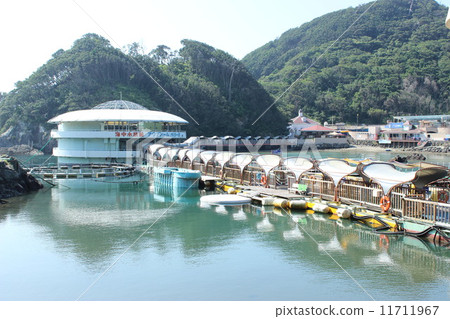 從下田海洋水族館入口的視圖 從下田海洋水族館入口的視圖 11711967
