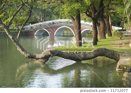 台中公園 11712077