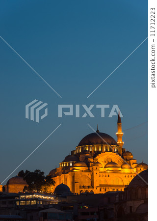 Suleymaniye Mosque 11712223