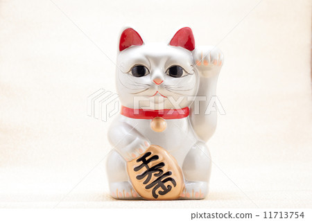 Lucky Cat 11713754