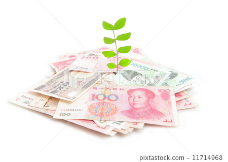 Green plant leaf growing on money 11714968