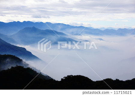 mountains with trees and fog mountains with trees and fog 11715021