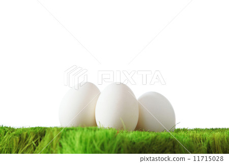 White eggs on green grass 11715028