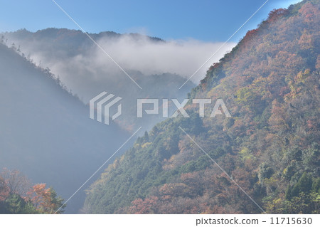 Fall in autumn 11715630