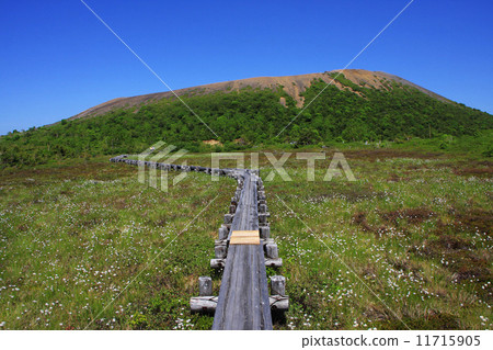 Agatsuma Fuji 11715905