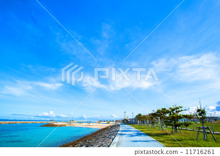 沖繩的海邊 沖繩的海邊 11716261