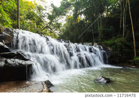 forest waterfall 11716478