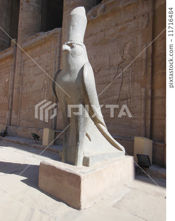 荷魯斯之神 11716484