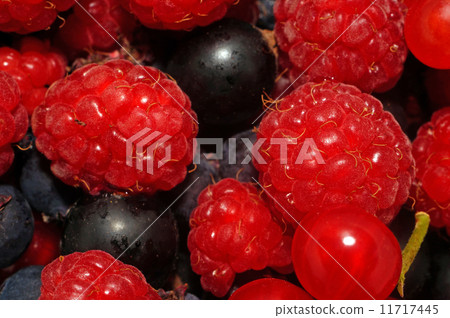 Assorted berries (raspberries, black and red currants) as backgr 11717445