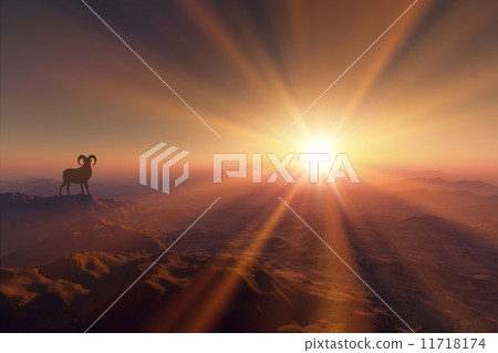 Sunrise 11718174