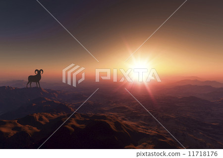 Sunrise 11718176
