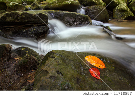 Pha Kluay Mai waterfall 11718897