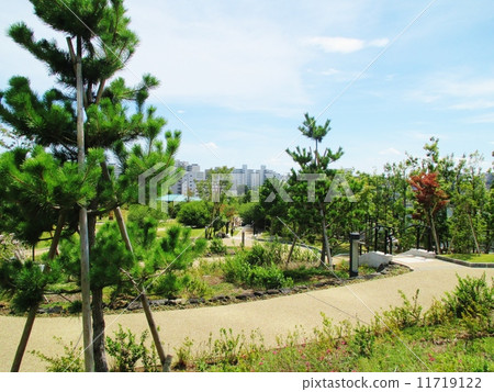 首都高速公路的圓形花園 11719122