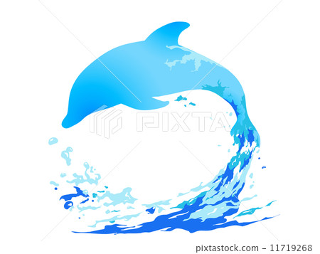 海豚 11719268