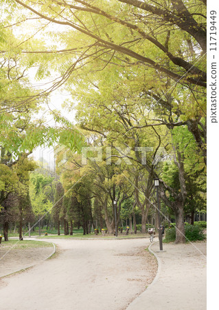 Park scenic Park scenic 11719449