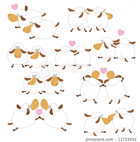 Cute sheep, 11719591