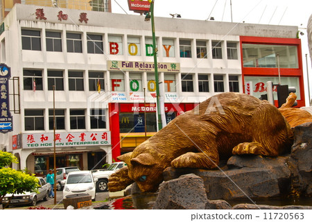 Cat family image (Kuching / East Malaysia) 11720563