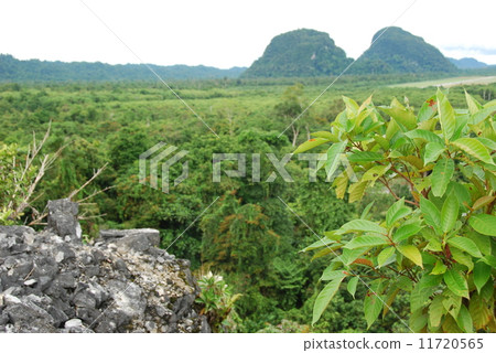 Muru（Gunung Mul國家公園/東馬來西亞/婆羅洲島） 11720565