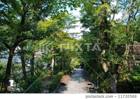 區內的天龍寺(Ukyo-ku,Saga-koro-ji Temple Benobaba-cho) 區內的天龍寺(Ukyo-ku,Saga-koro-ji Temple Benobaba-cho) 11720568