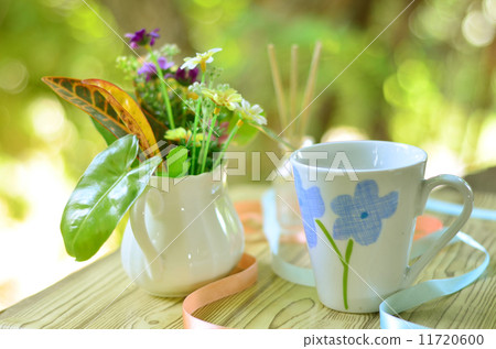 green leaf in fresh morning 11720600