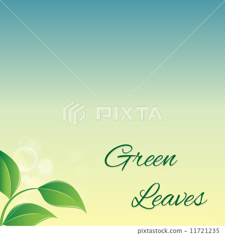 branch with fresh green leaves branch with fresh green leaves 11721235