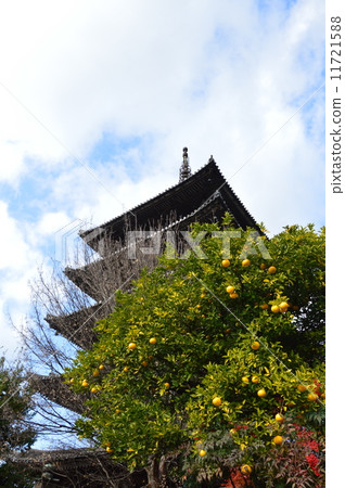在Hokensha寺的“Yasaka塔”（京都市東山區Shimizu Yasakaokamachi） 11721588