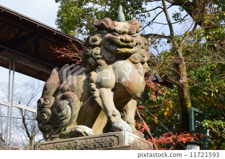 八坂神社的 守護犬 京都市八坂神社 祗園鎮東山區 照片素材 圖片 圖庫