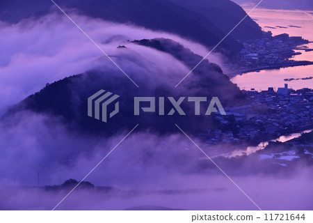 尾鷲的海霧 11721644