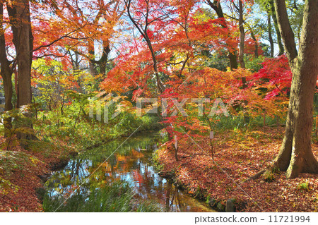 Shimogamo Shrine of Kinshu 11721994