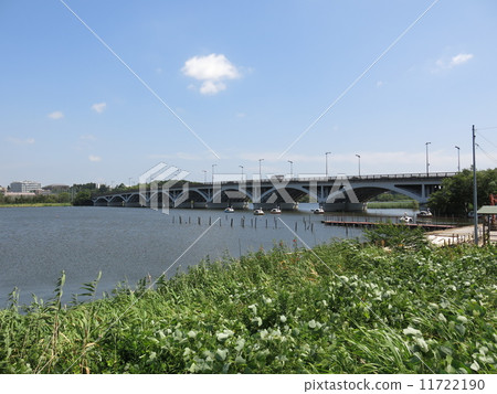 Tega Ohashi crossing Tegauma Tega Ohashi crossing Tegauma 11722190