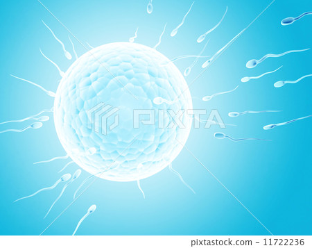 Spermatozoons, floating to ovule 11722236