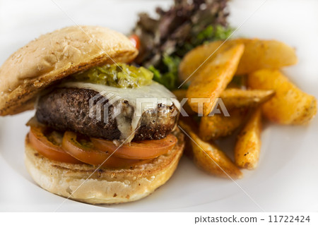 juicy chicken burger 11722424