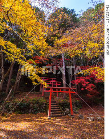 Tempo Shinoyama的Sogoji Temple Tempo Shinoyama的Sogoji Temple 11723443
