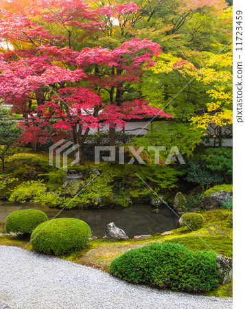 Senguchi-ji的辦公花園 11723459