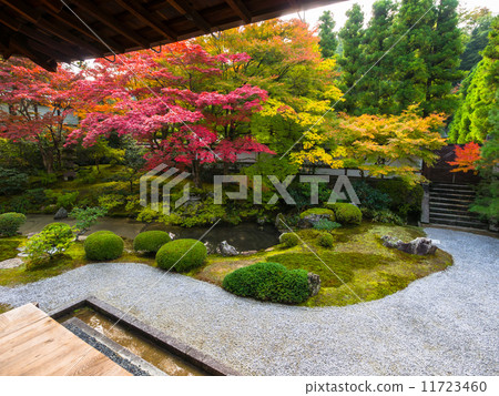 Senguchi-ji的辦公花園 11723460