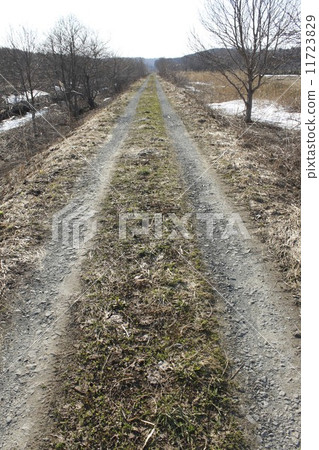冬天的一條路 11723829